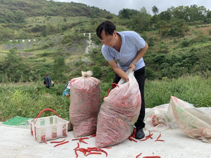 2010年,李清华决定返回自己的家乡黔江区白石乡,并注册资本500万元