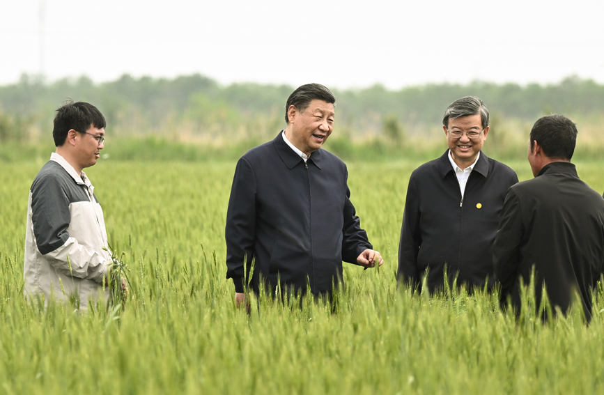 习近平在沧州市考察调研