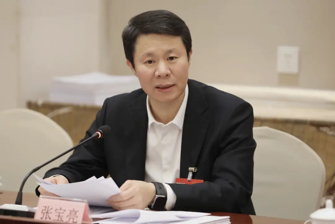 全国人大代表、山东省临沂市委书记张宝亮：片区化引领 全链条赋能沂蒙老区奋力走好乡村振兴共富路
