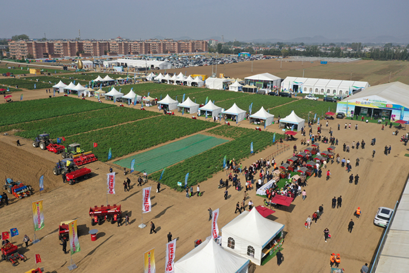 第十三届中国国际薯业博览会 国际薯业发展大会在山东滕州举办