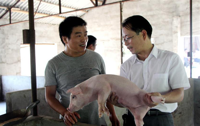 安徽农村基层党建网